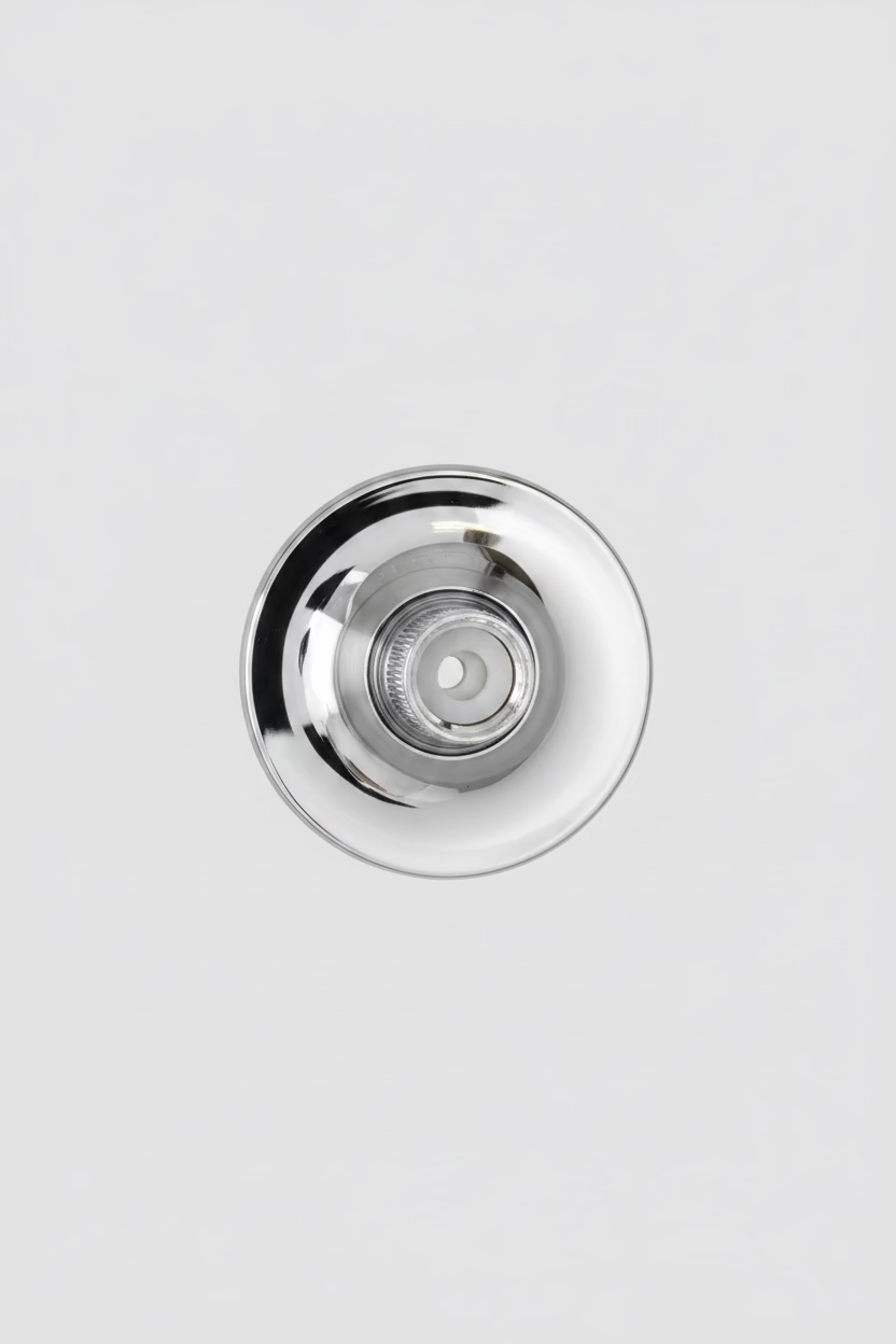 Single Function Shower Head Chrome